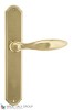 Door Handle Venezia  MAGGIORE  On Backplate PL02 Polished Brass