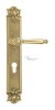 Door Handle Venezia  PELLESTRINA  CYL On Backplate PL97 Polished Brass