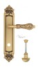 Door Handle Venezia  MONTE CRISTO  WC-2 On Backplate PL96 French Gold + Brown