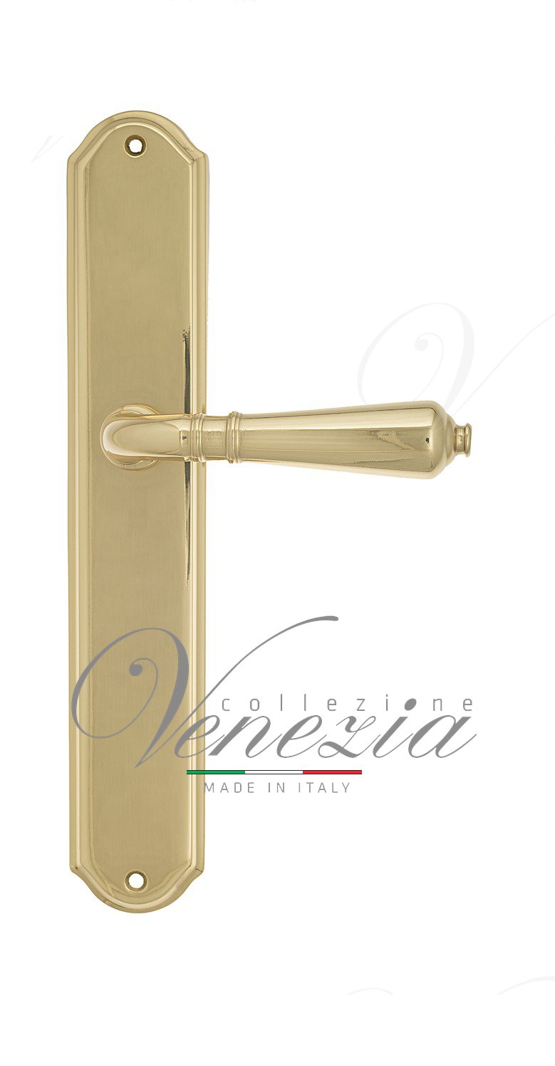Door Handle Venezia  VIGNOLE  On Backplate PL02 Polished Brass