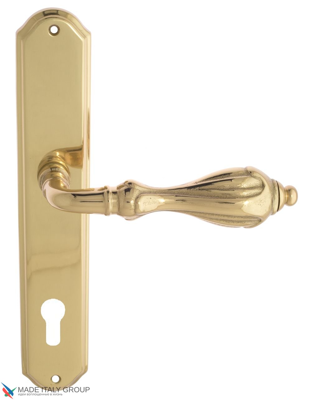 Door Handle Venezia  ANAFESTO  CYL On Backplate PL02 Polished Brass
