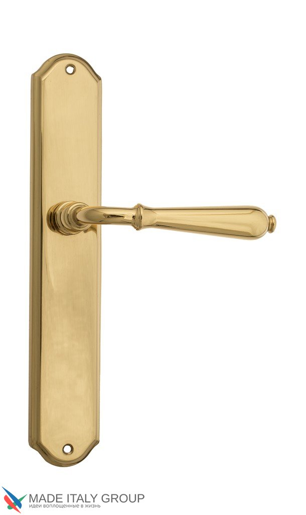 Door Handle Venezia  CLASSIC  On Backplate PL02 Polished Brass