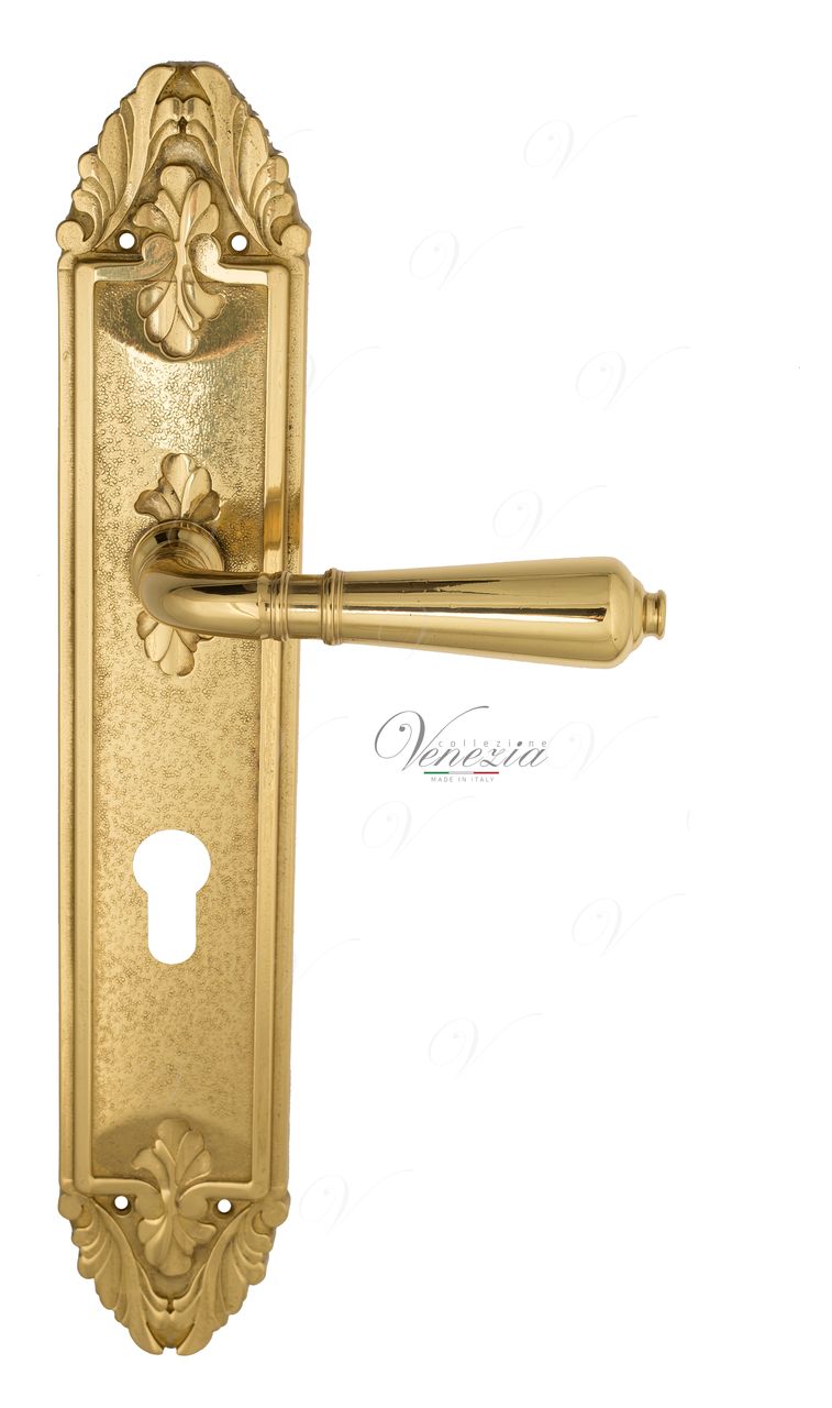 Door Handle Venezia  VIGNOLE  CYL On Backplate PL90 Polished Brass
