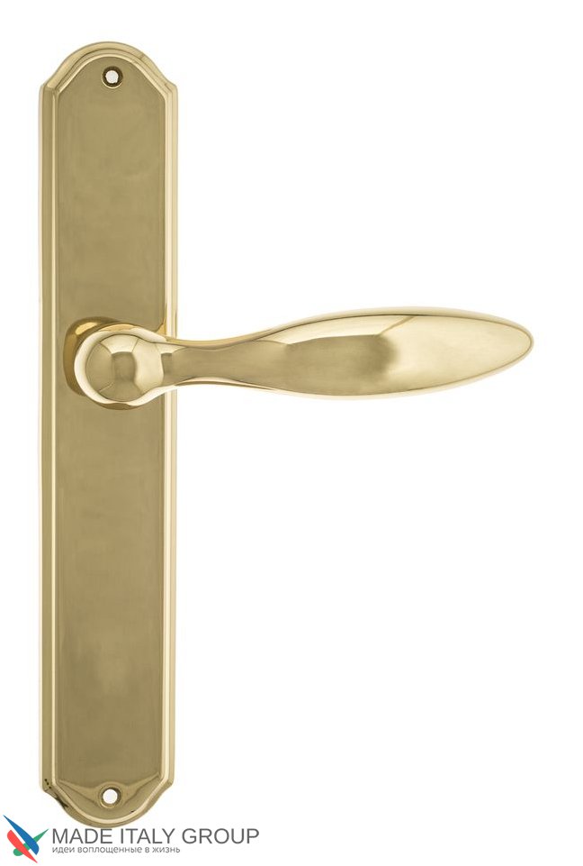 Door Handle Venezia  MAGGIORE  On Backplate PL02 Polished Brass