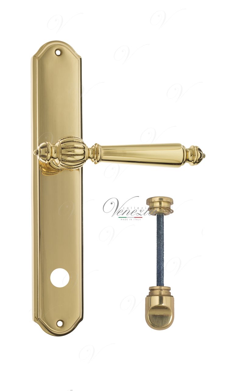 Door Handle Venezia  PELLESTRINA  WC-1 On Backplate PL02 Polished Brass