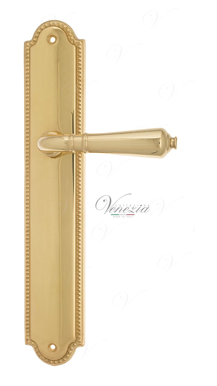Door Handle Venezia  VIGNOLE  On Backplate PL98 Polished Brass