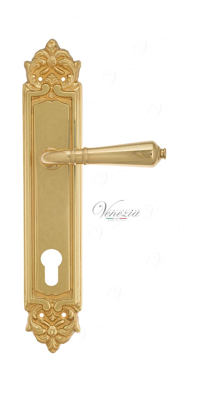 Door Handle Venezia  VIGNOLE  CYL On Backplate PL96 Polished Brass