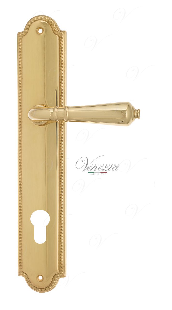 Door Handle Venezia  VIGNOLE  CYL On Backplate PL98 Polished Brass