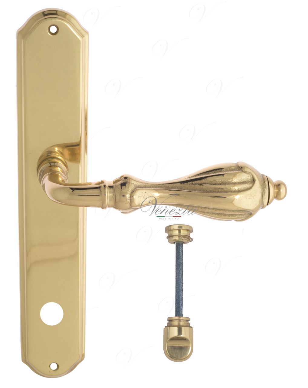 Door Handle Venezia  ANAFESTO  WC-1 On Backplate PL02 Polished Brass