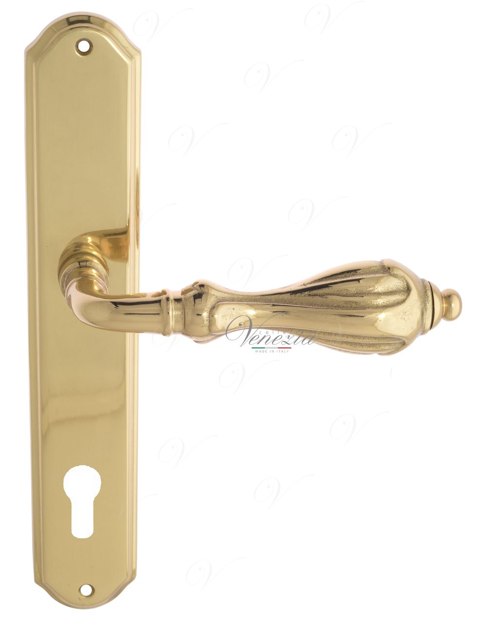 Door Handle Venezia  ANAFESTO  On Backplate PL02 Polished Brass